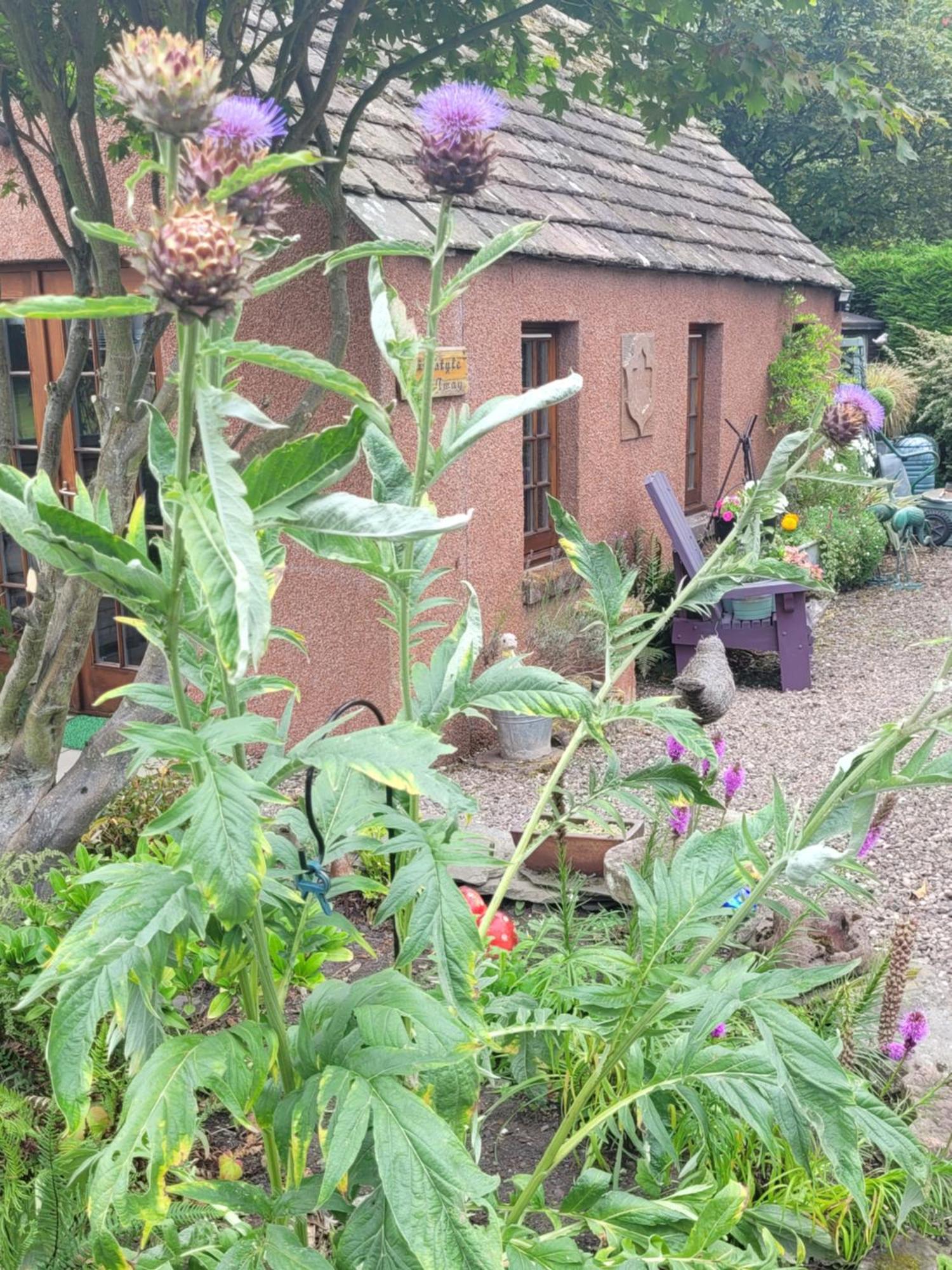 Kirkstyle Hideaway Bed & Breakfast Arbroath Luaran gambar